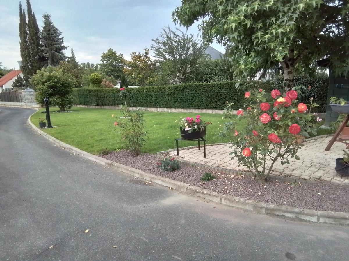 Ferienwohnung Au Detour Des Orchidees Artannes-sur-Indre Exterior foto